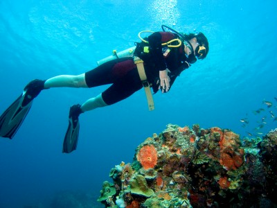 scuba diving, https://www.jamaica-reggae-music-vacation.com/Montego-Bay-Marine-Park.html